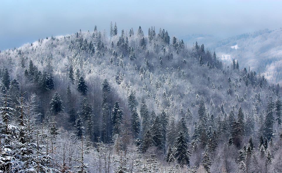 Pogoda Beskidy | Mroźno i pochmurno