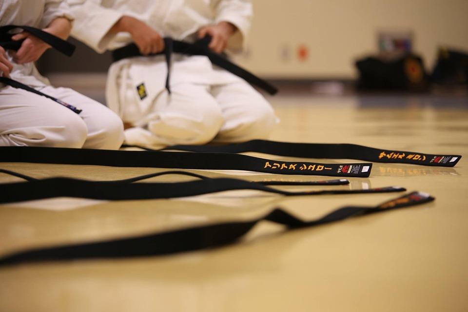 Polska Unia Karate z siedzibą w Bielsku-Białej przyjęta w miejsce Polskiego Związku Karate do światowej fderacji