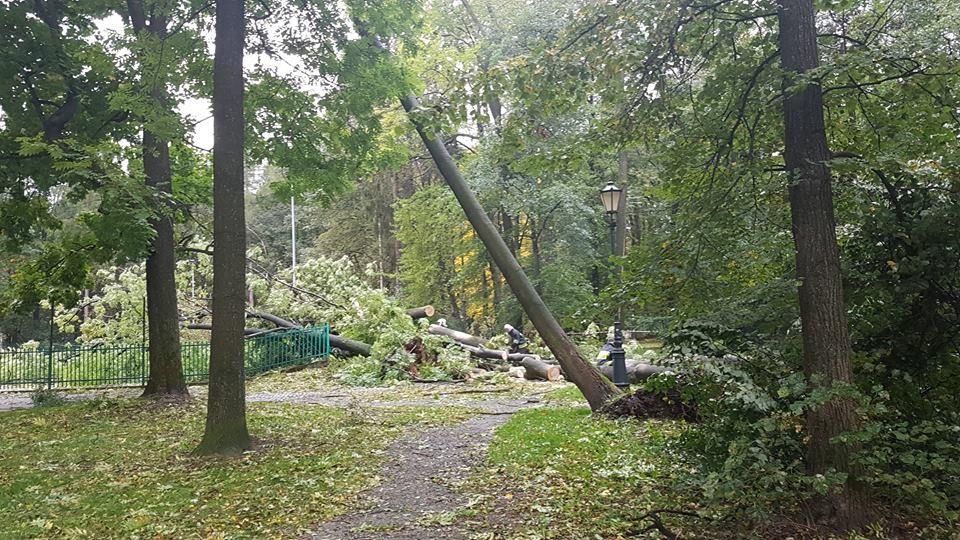 Żywiecki Park Habsburgów zniszczony po wichurze