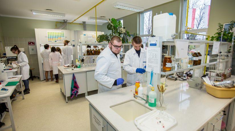 Studenci bielskiej ATH dobrze radzą sobie na rynku pracy