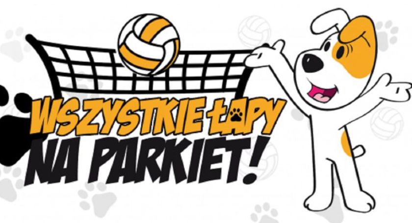 Reksio nową maskotką bielskich siatkarek?