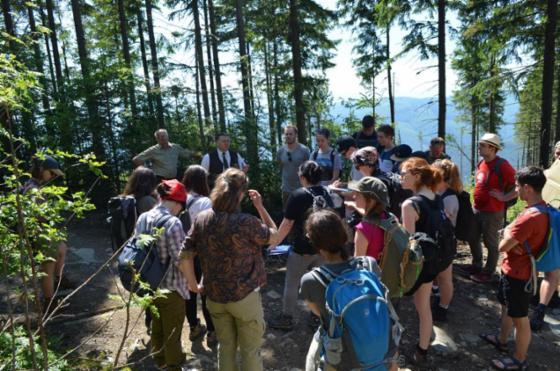 Studenci z Berlina i Krakowa prowadzą badania w beskidzkich lasach