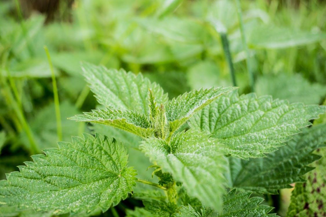 Bądź naturalny!
