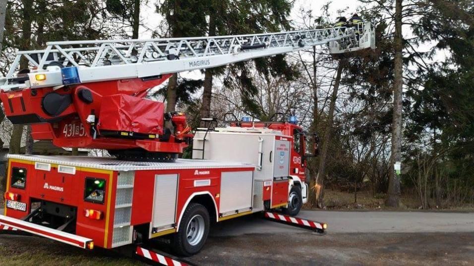 Piekarnik przyczyną pożaru przy ulicy Inwalidów w Bielsku - Białej