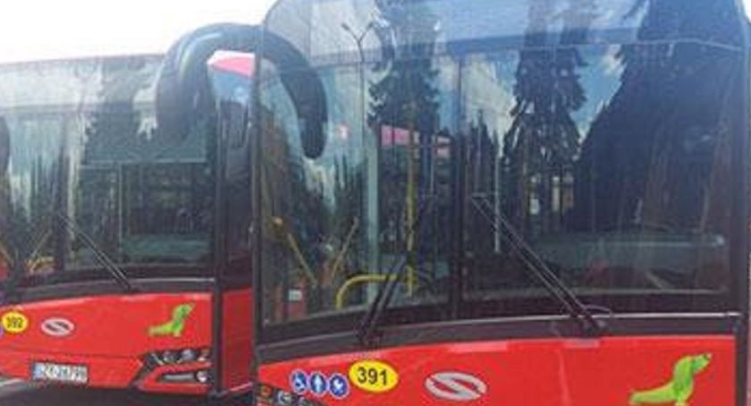 Nowa linia komunikacji miejskiej w Żywcu