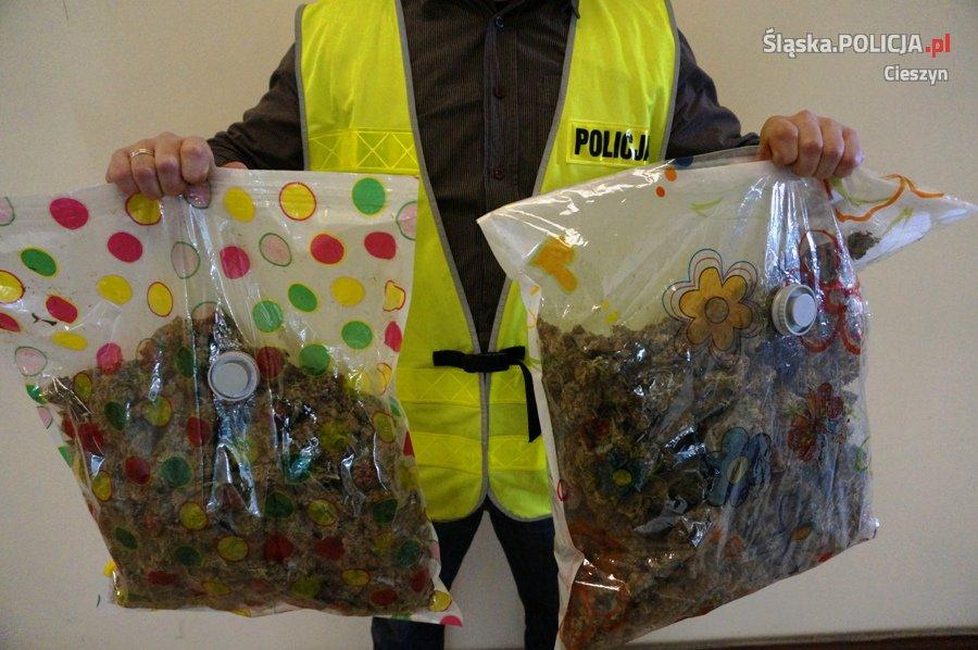 W zatrzymanych samochodzie na terenie Pogórza były 2 kg narkotyków