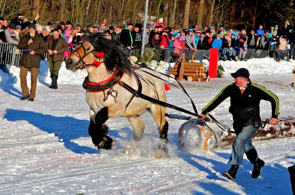 Zimowe zawody furmanów w Istebnej