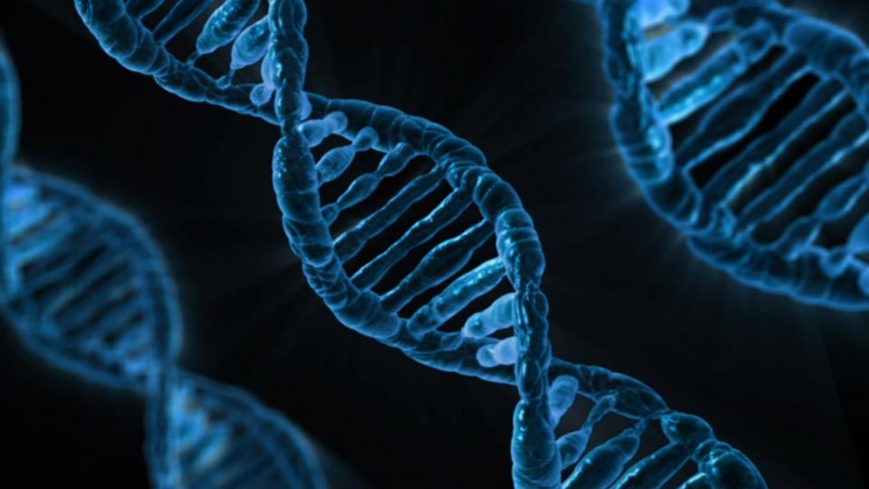 Akademia Techniczno-Humanistyczna zostanie czołowym producentem grafenu
