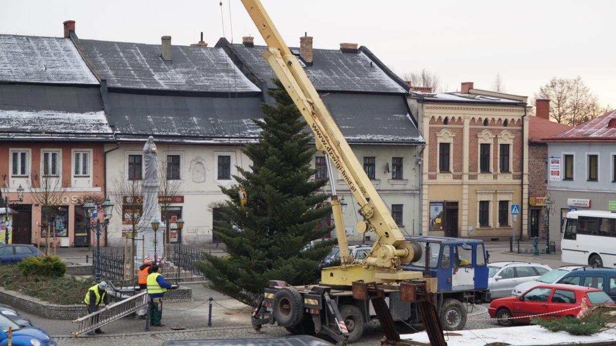 Choinka w Skoczowie i Strumieniu już stoi