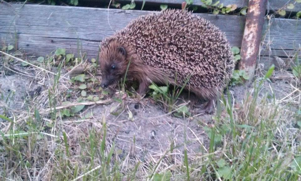 Pogoda w Beskidach na szlakach górskich może być niebezpiecznie