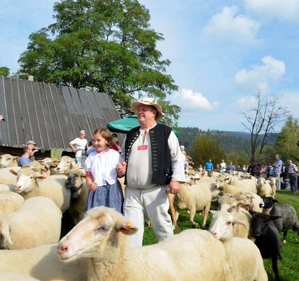 Bacowskie pożegnanie z halami w Istebnej