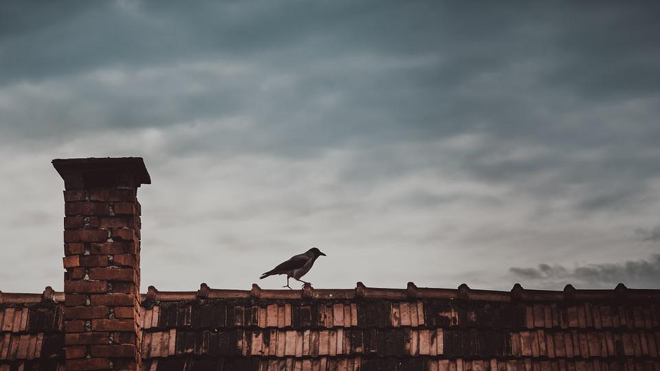 W Żywcu specjalna komisja zajmie się paleniem śmieci w domowych piecach