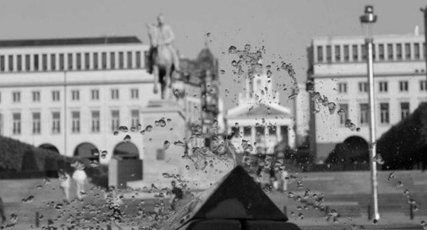 Brukselka w skoczowskim ARTadresie