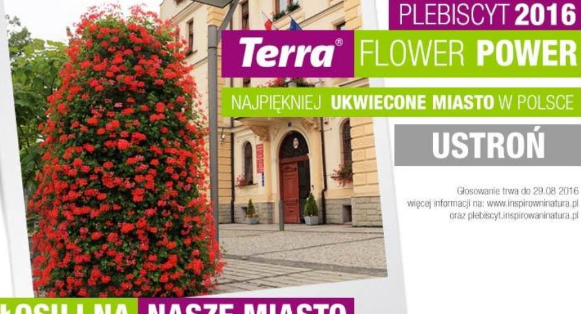 Głosuj na Ustroń w plebiscycie Najpiękniej Ukwiecone Miasto w Polsce