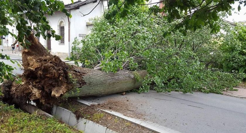 Skutki silnego wiatru w Bielsku-Białej i okolicach