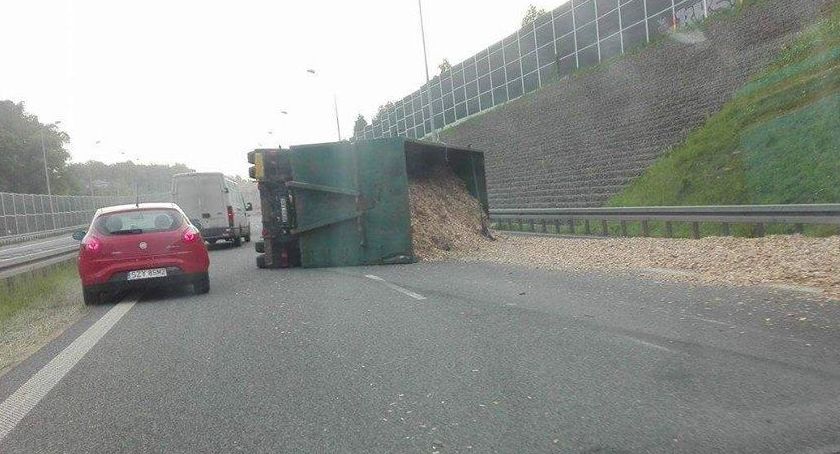 Trociny na bielskiej ekspresówce