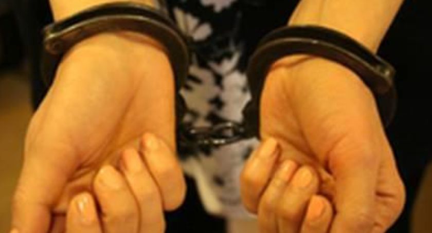 Wjechała w zaparkowane samochody i pogryzła policjantów