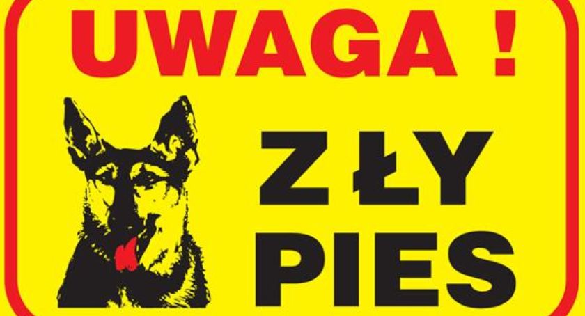 W Zabrzegu pies pogryzł kobietę