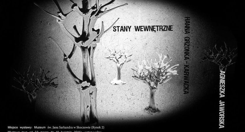 Skoczów: Stany wewnętrzne w Sarkandrówce