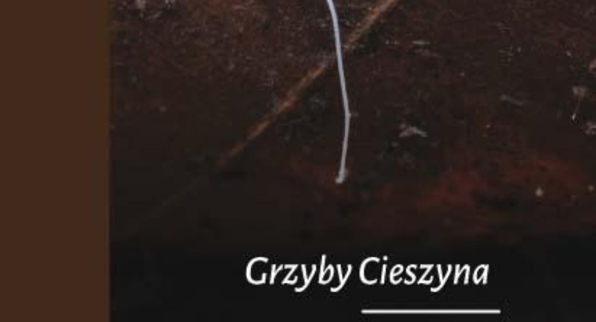 Grzyby Cieszyna. Prelekcja Aleksandry Dordy