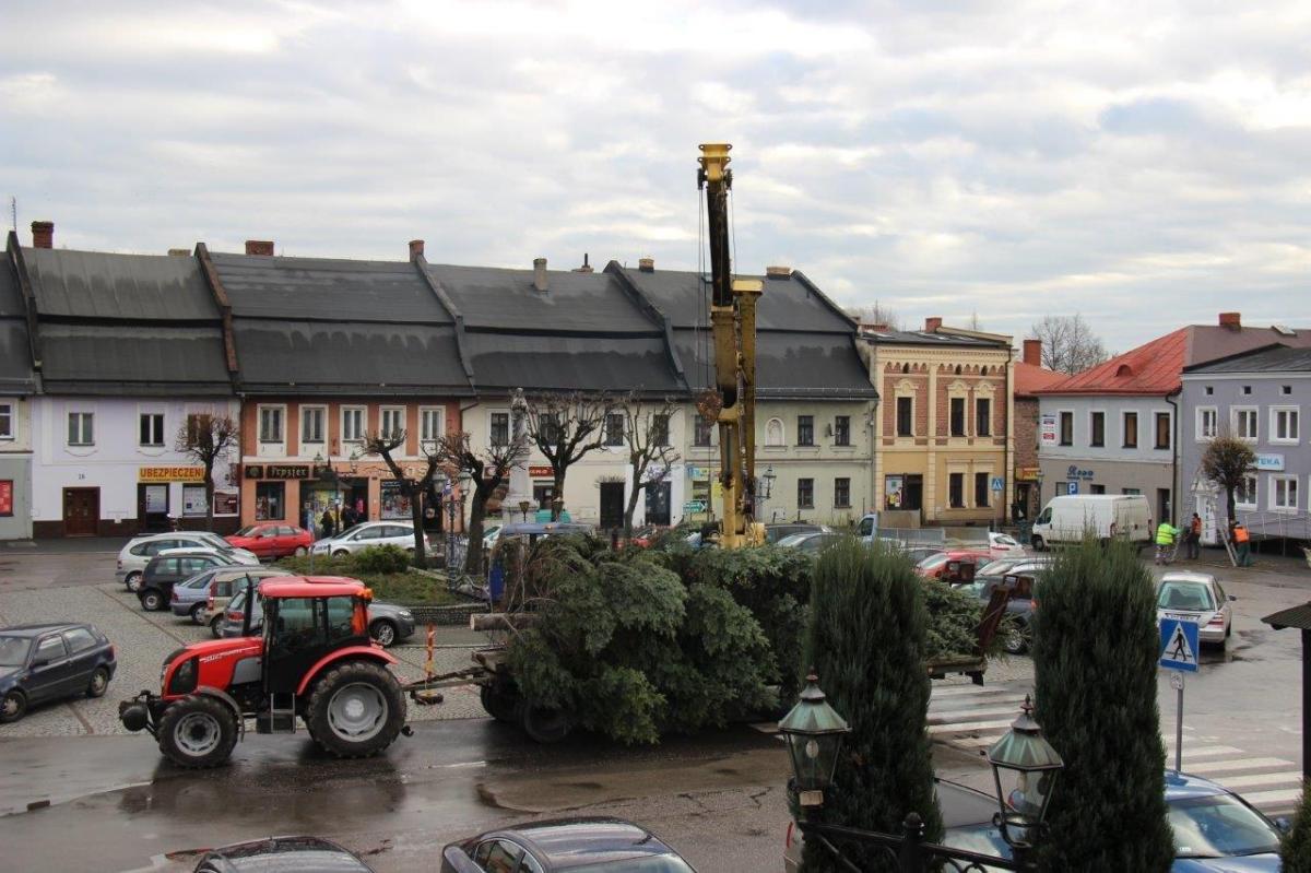Strumień. Choinka stanęła na Rynku