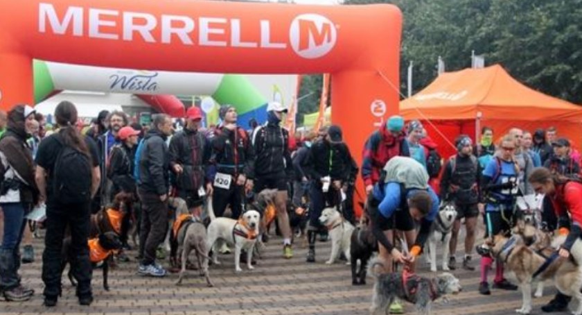 Finałowy dogtrekking w Wiśle