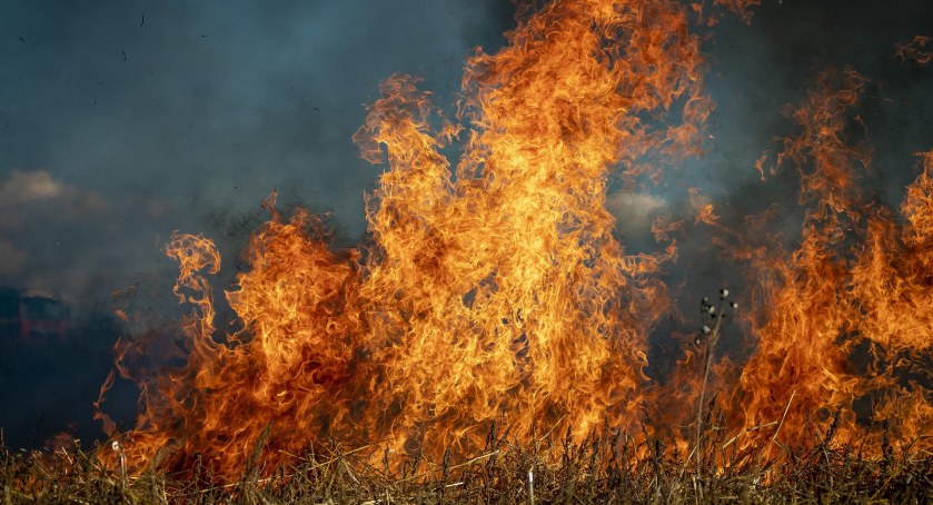 Bardzo poważne zagrożenie pożarowe w lasach i na polach