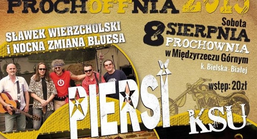 Przystanek Prochoffnia 2015 - Międzyrzecze Górne
