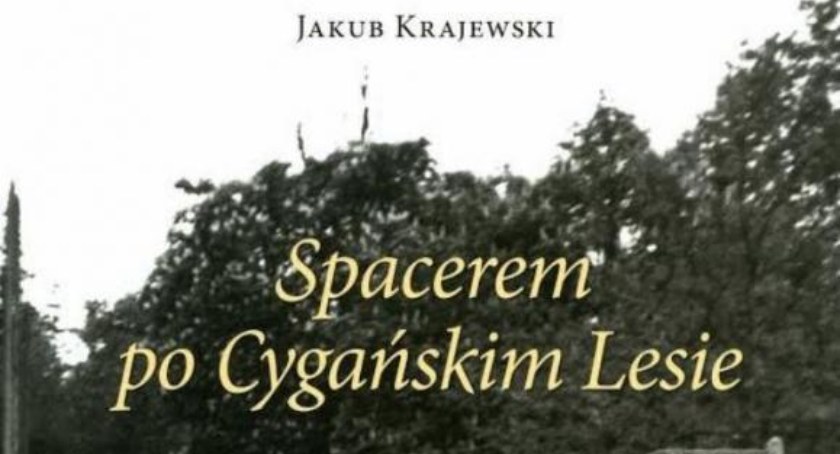 Wakacyjne spacery po Cygańskim Lesie