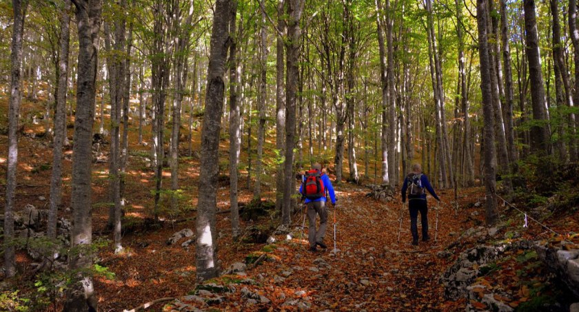 Nordic walking- wyjście z kijami w Szczyrku
