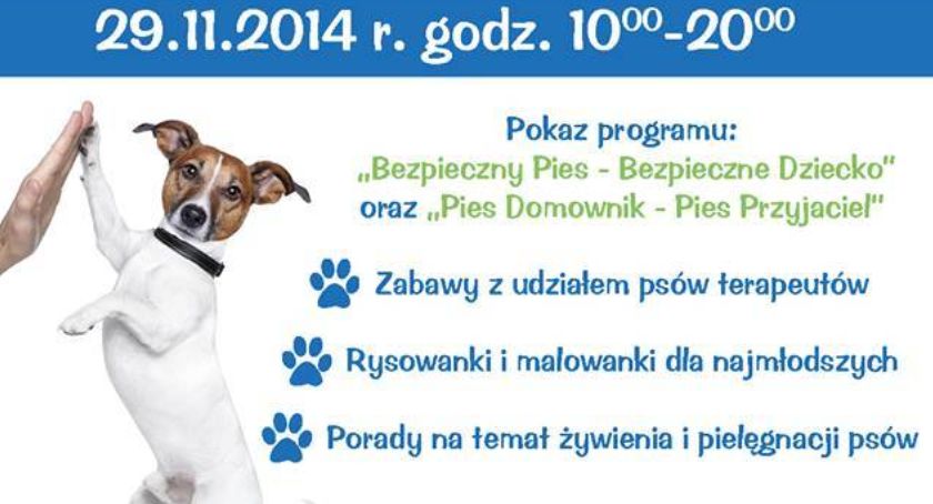 Psia Edukacja w Galerii SFERA 