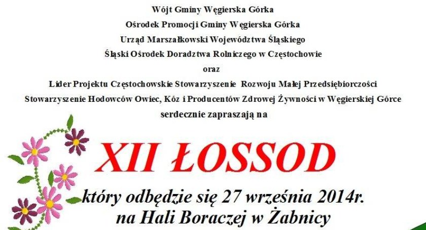 XII Łossod Redyk jesienny na Hali Boraczej