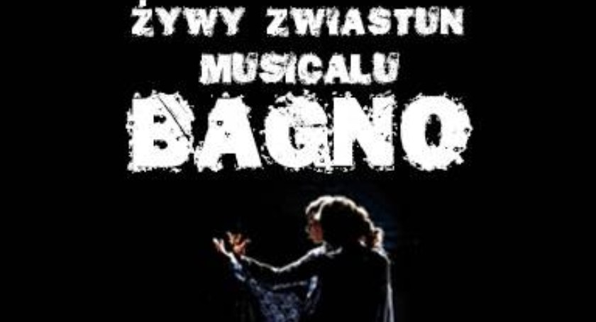 Musicalowo w bielskim  Gemini Park