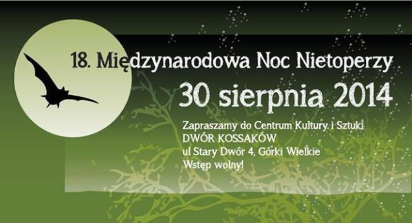 18 Noc Nietoperzy w Górkach Wielkich