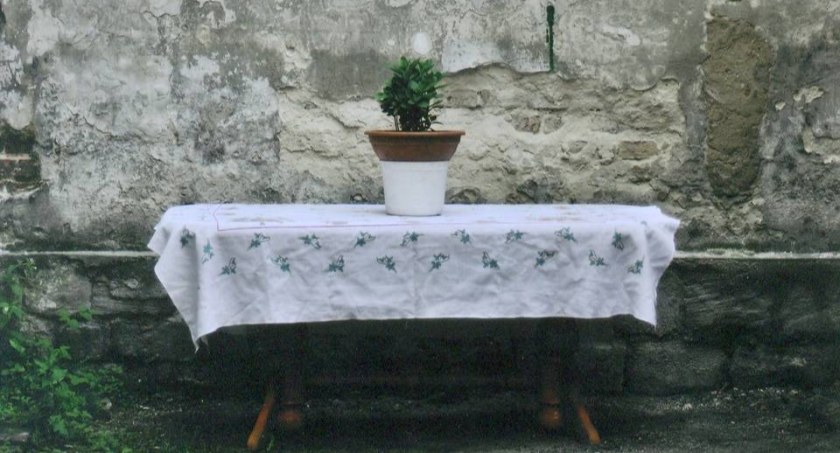 Konkursu  fotograficznego Migawka rozstrzygnięty