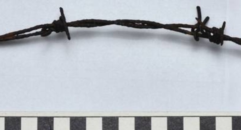 Drut kolczasty z Muzeum Auschwitz-Birkenau w bagażu podręcznym