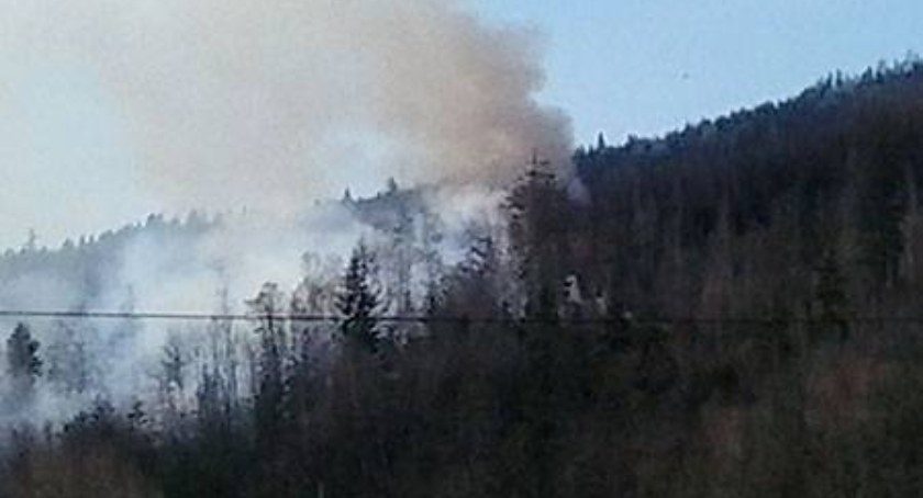 Spłonęło 8 hektarów lasu na terenie Gminy Rajcza
