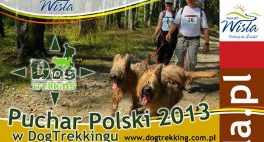Finał Pucharu Polski w DogTrekkingu - Wisła 2013