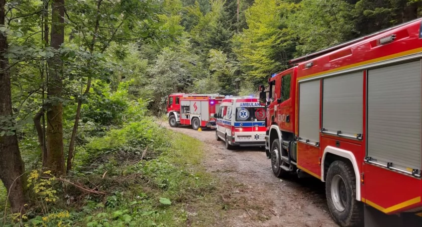 Bystra.Paliła się ściółka leśna