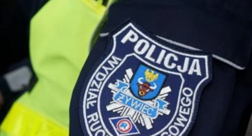 29-letnia mieszkanka Żywca śmiertelnie ugodziła nożem własną matkę