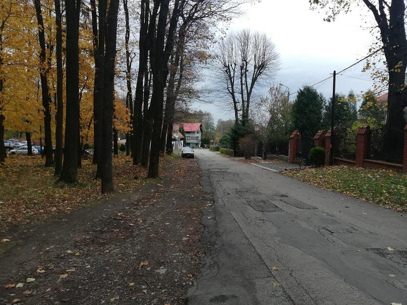 Mieszkańcy Cygańskiego Lasu boją się wycinki. Urząd Miejski w Bielsku-Białej uspokaja