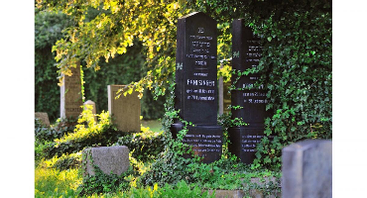 Dr Jacek Proszyk znowu oprowadza po Bielsku-Białej i opowiada jego historię 