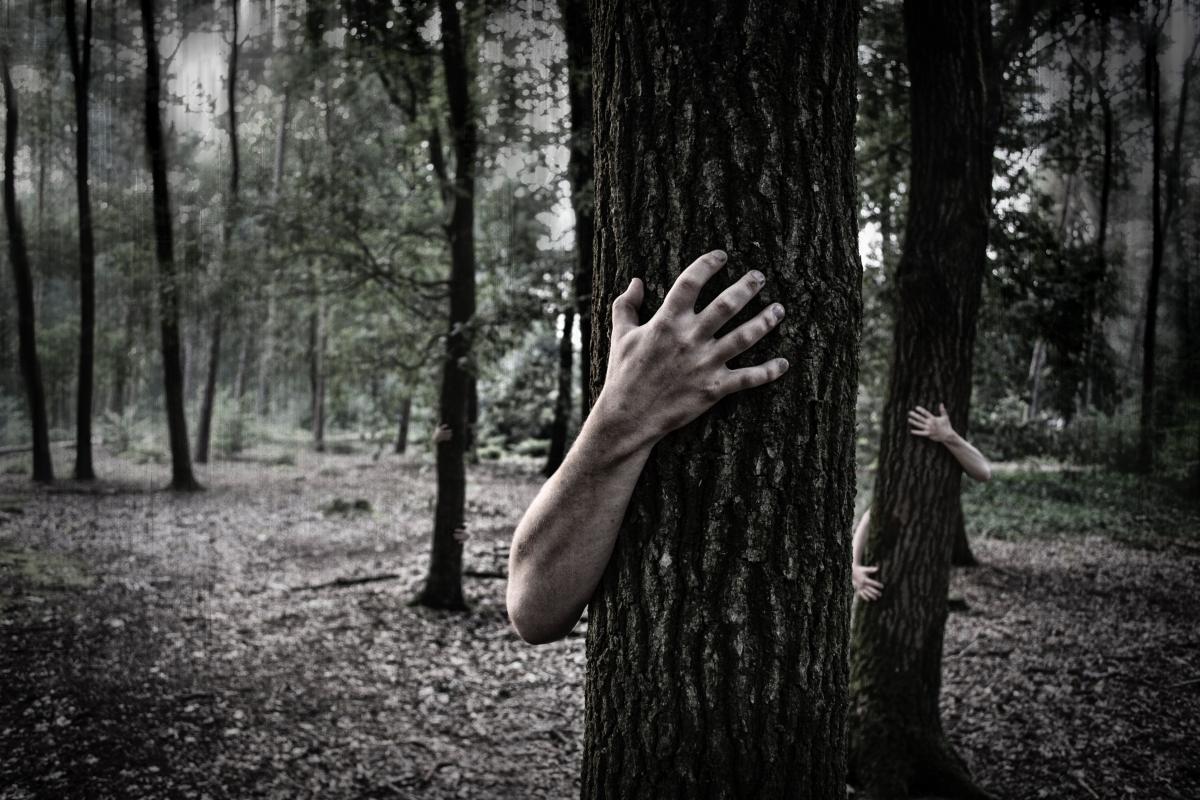 Horror Run 2019 - Przerażający bieg po ciemnym lesie pełnym zombie 26.10
