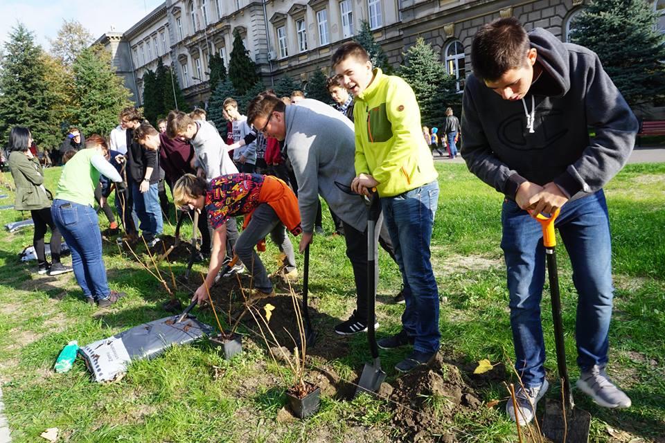 Święto Drzewa w Bielsku-Białej i Ustroniu 18.10 i 21.10