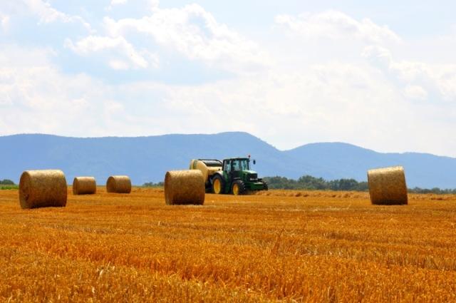 Gmina Kęty dożynki - Nowa Wieś 15.08, Łęki 17.08, Bulowice 18.08