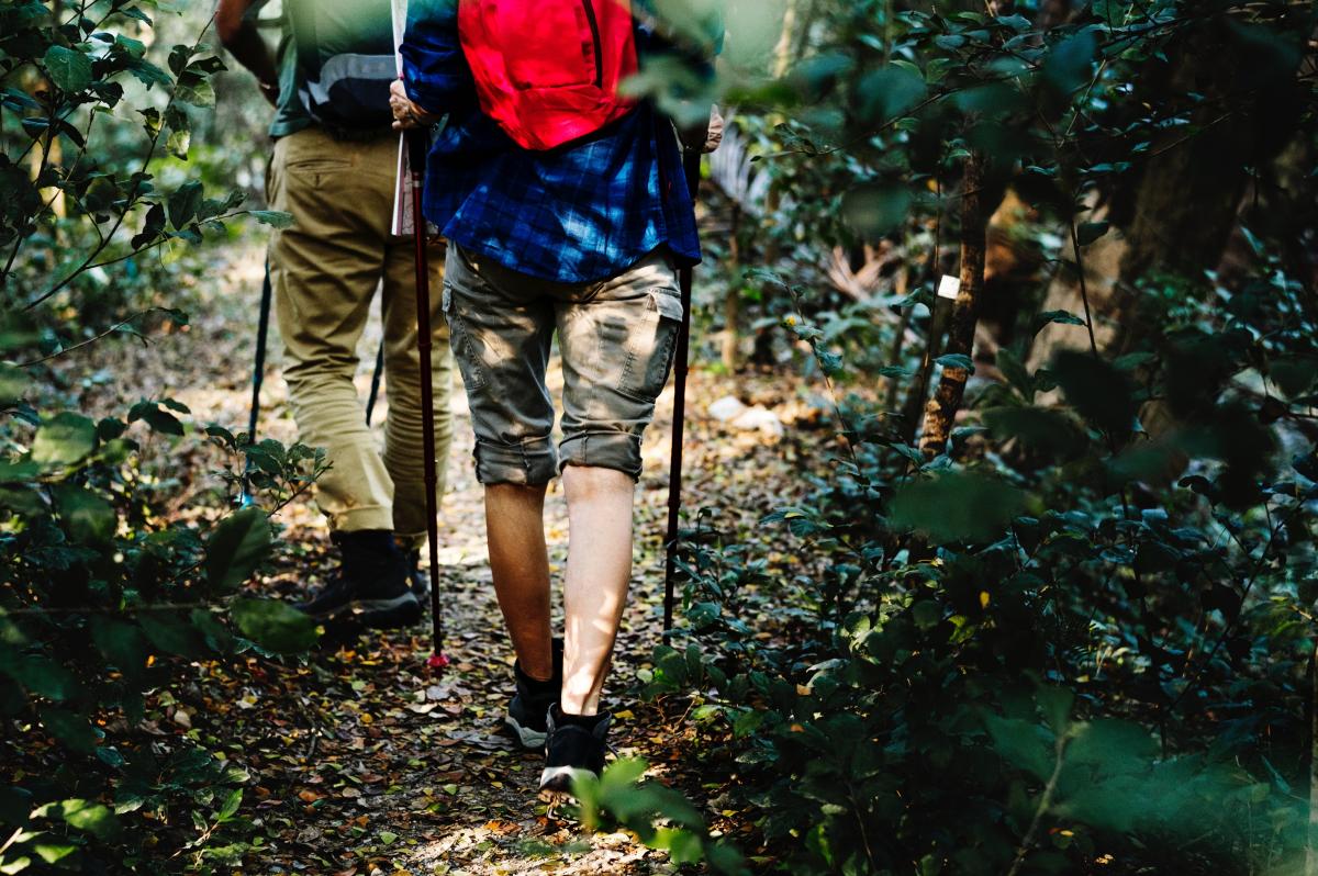 8. Błękitny Marsz Nordic Walking Kijami w cukier