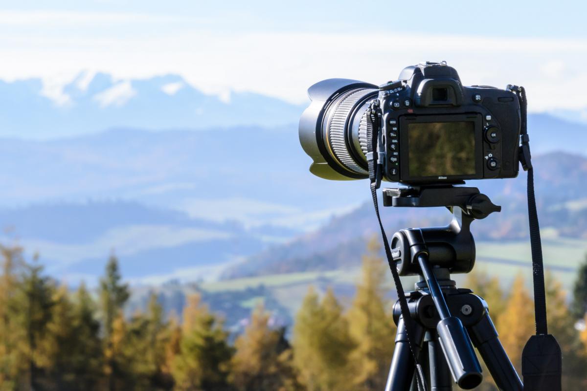 Okiełznaj aparat - wprowadzenie do świata fotografii - warsztaty w Aquarium 25.07