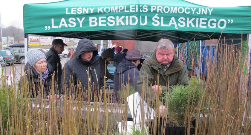 Drzewko za surowce w Bielsku-Białej 