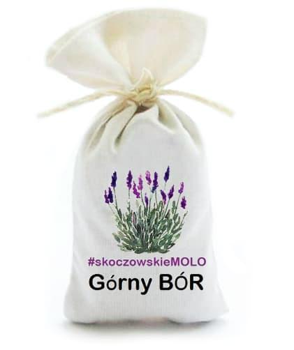 Święto Lawendy na Górnym Borze 02.09