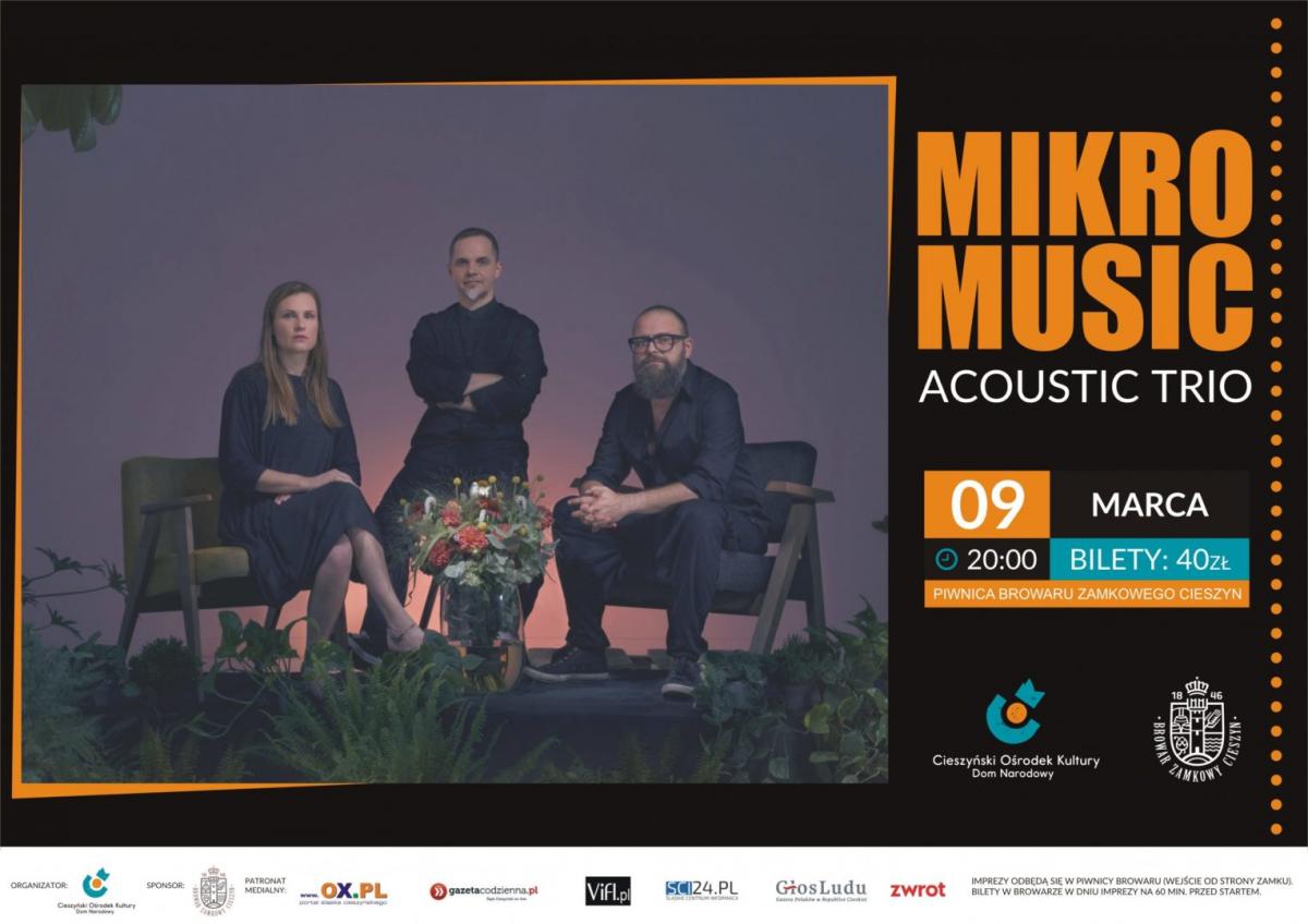 Cieszyn: Mikromusic w Cieszynie! 09.03